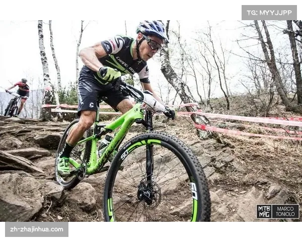 沃格尔学院派执教风格受赞誉 20年冠军赛季轮换策略成经典案例